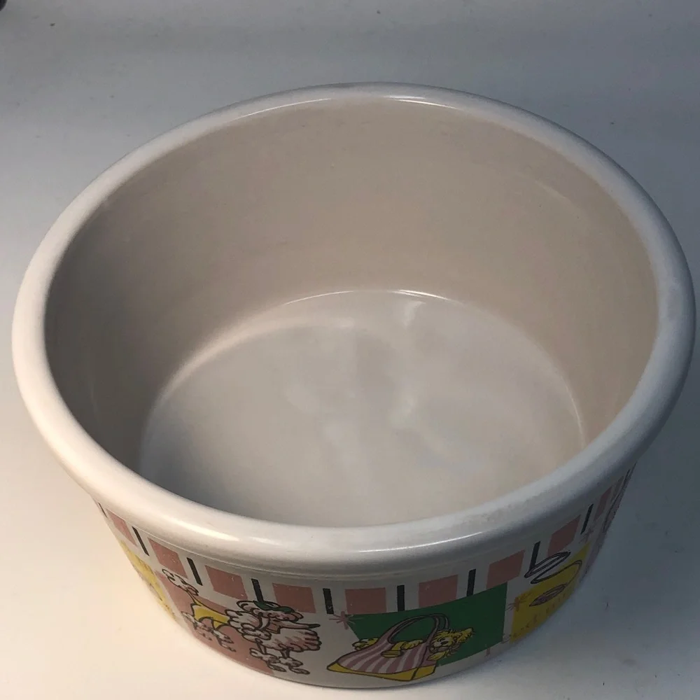 Colorful Ceramic large Dog Bowl with dog Design